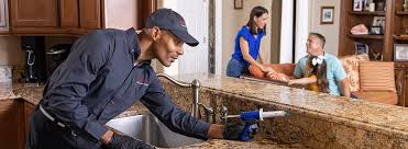 Best Residential Pest Control  in Rockford, MI